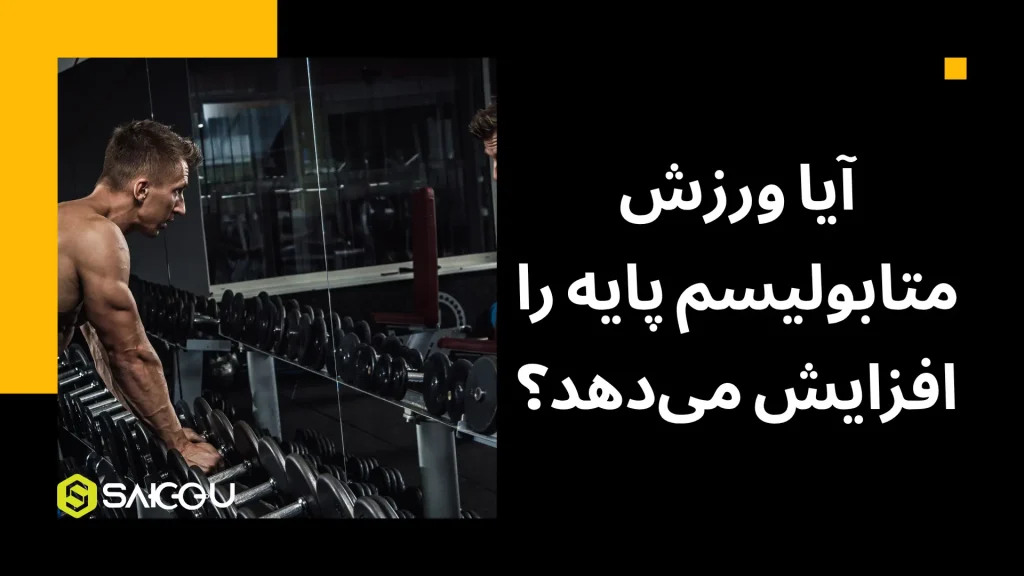 آیا ورزش متابولیسم پایه را افزایش می_دهد؟