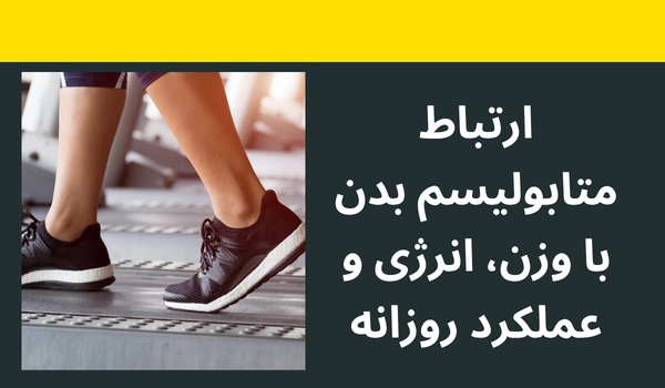 ارتباط متابولیسم با وزن، انرژی و عملکرد روزانه
