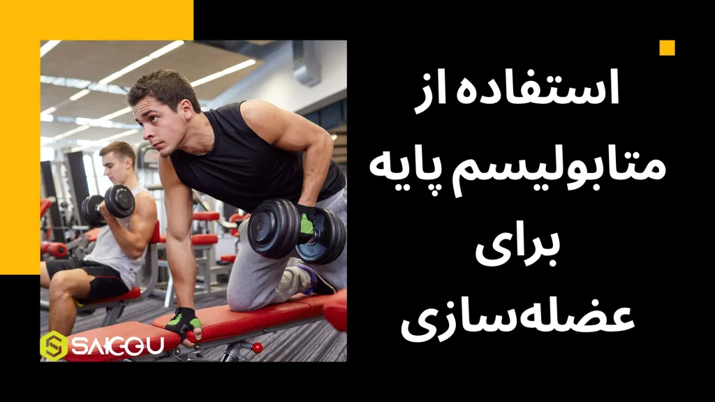 استفاده از متابولیسم پایه برای عضله سازی