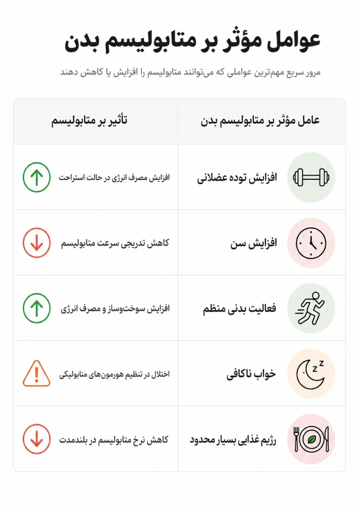 عوامل موثر بر متابولیسم بدن