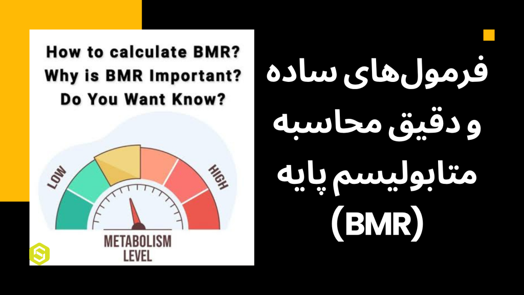 فرمول‌های ساده و دقیق محاسبه متابولیسم پایه (BMR)