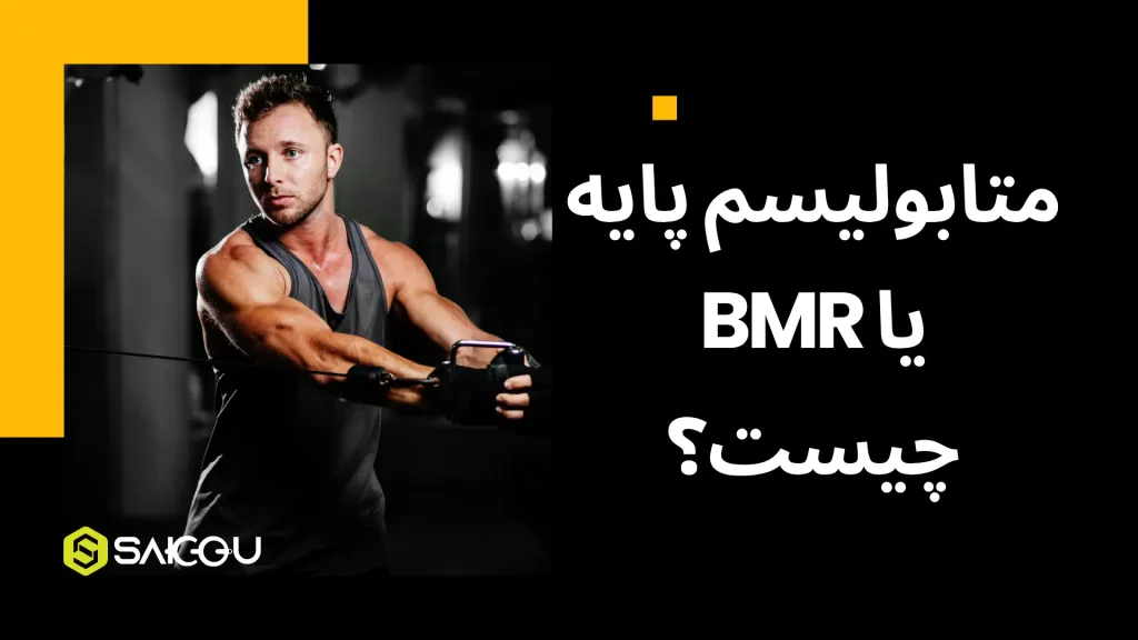 متابولیسم پایه چیست یا BMR چیست؟