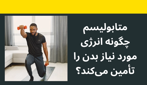 تامین انرژی بدن از طریق متابولیسم چگونه اتفاق می افتد