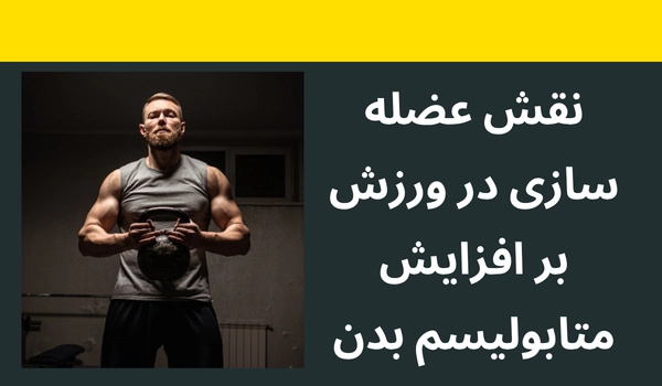 نقش عضله سازی در ورزش بر افزایش متابولیسم بدن